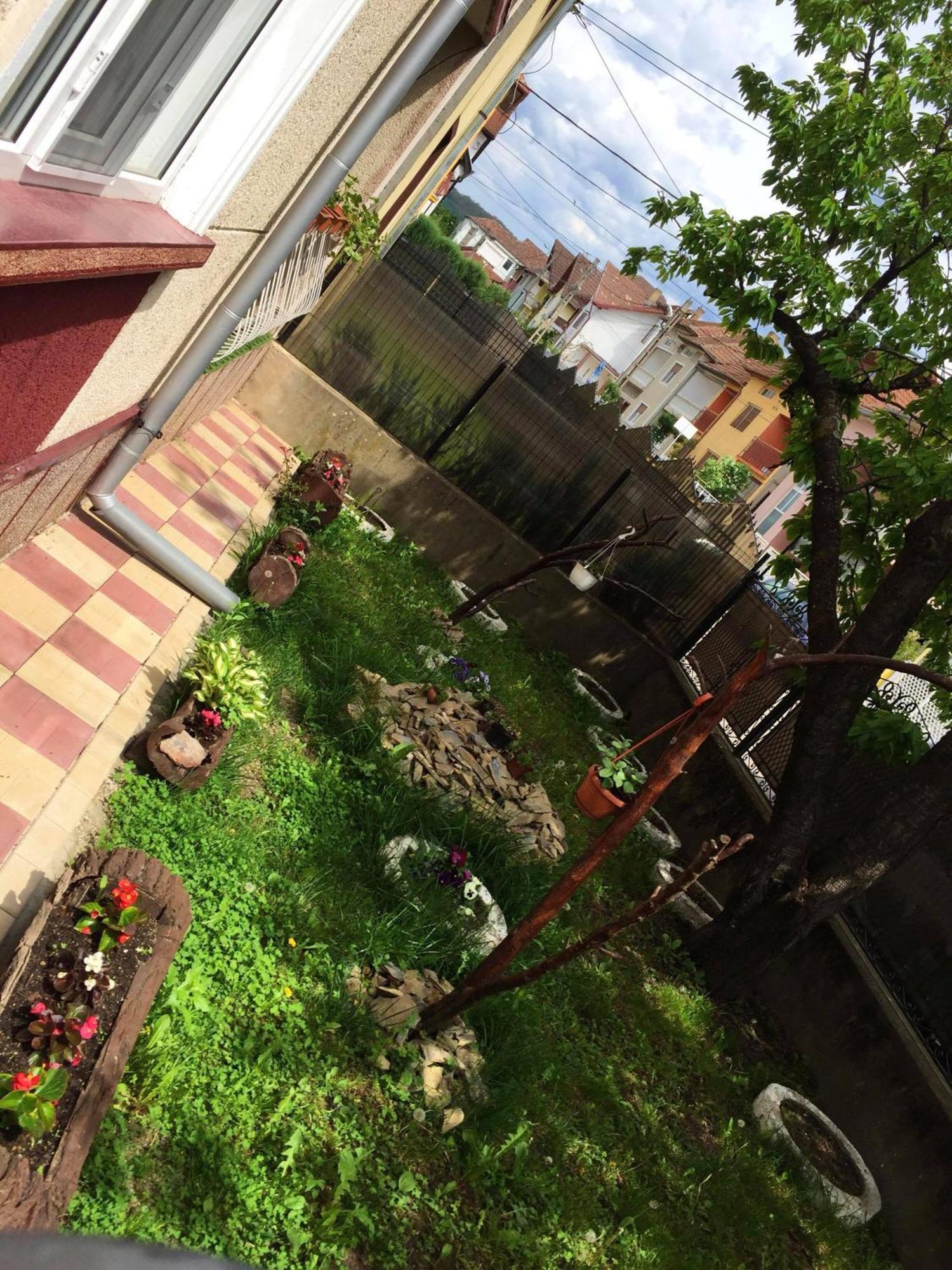 Casa Mary Hotel Hateg Luaran gambar