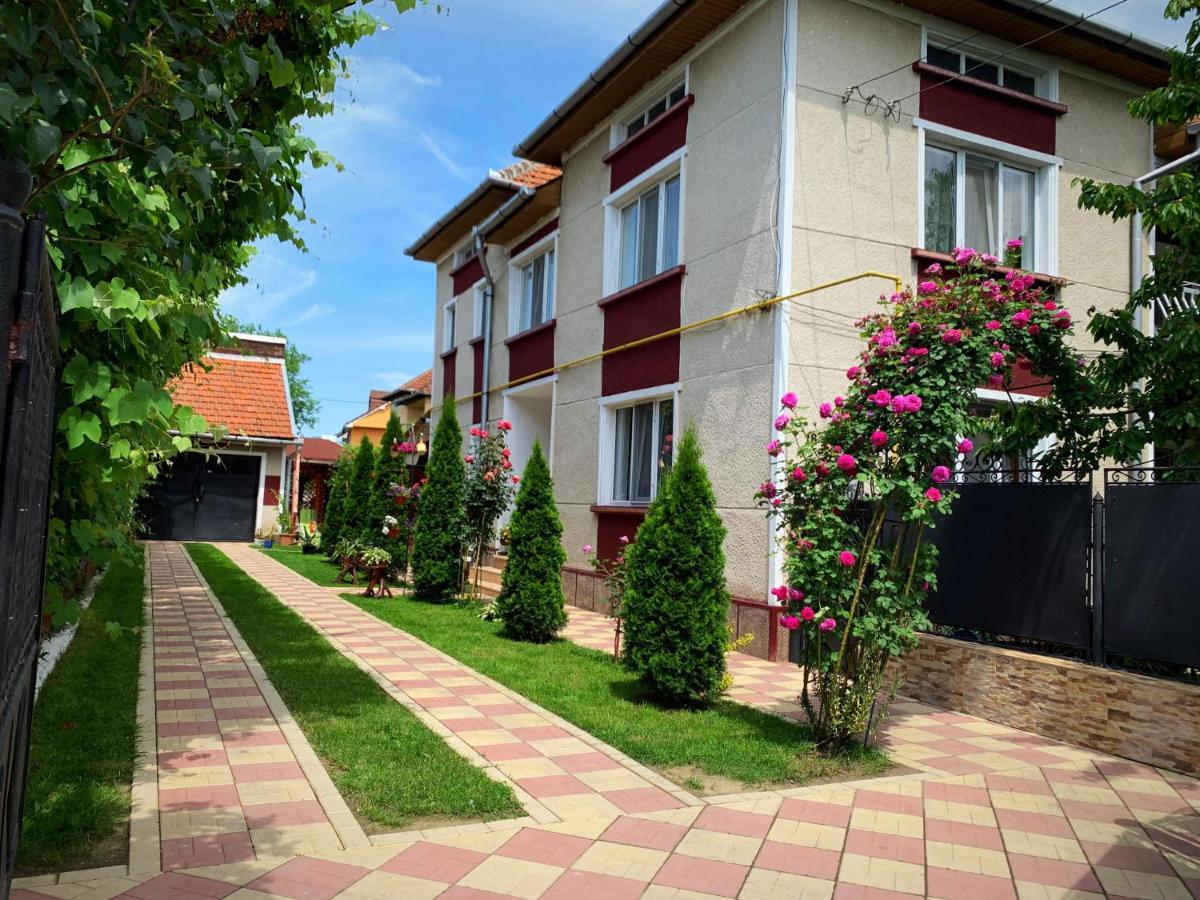 Casa Mary Hotel Hateg Luaran gambar